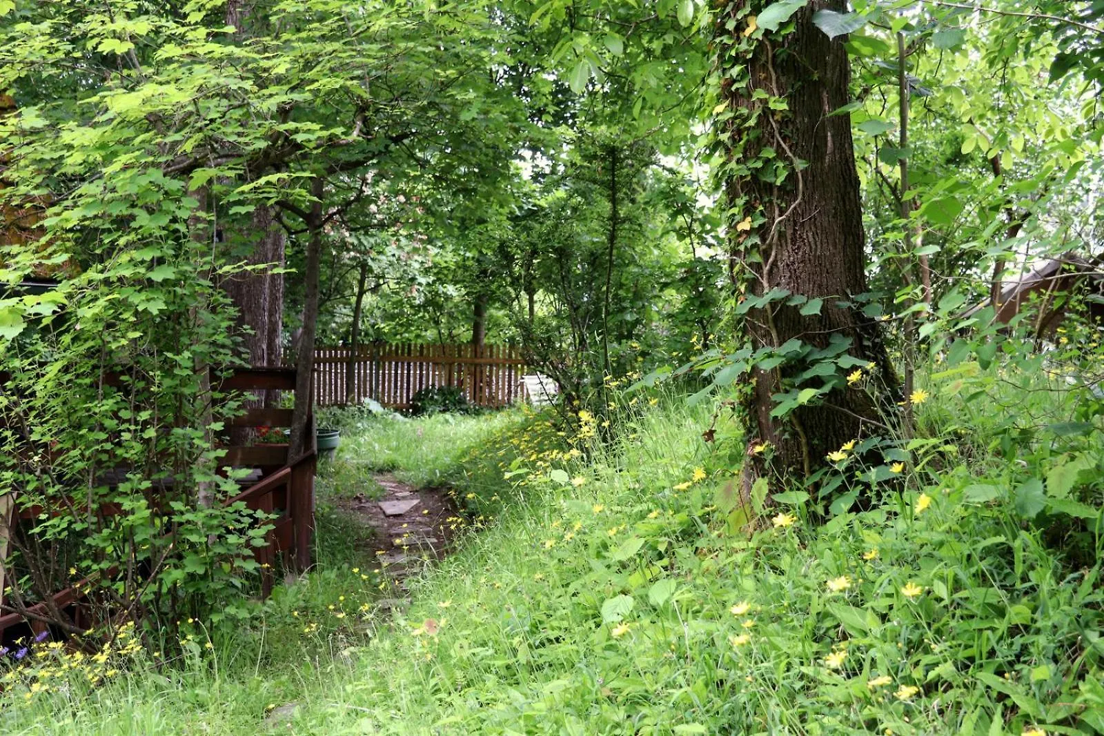Ferienwohnung Thaysia Mit 4 Zimmern Und Terrasse Und Garten Starnberg